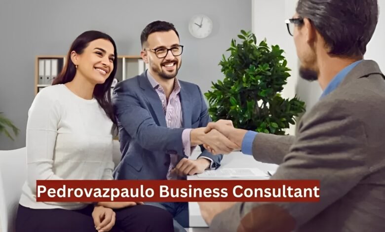 pedrovazpaulo business consultant